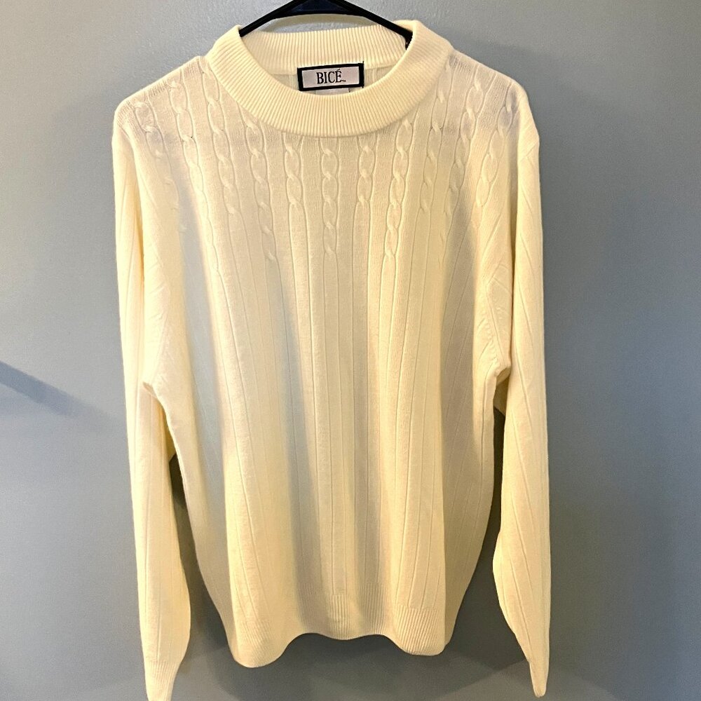 NWOT Bice Moch Turtleneck Ribbed Ivory Sweater Large🙂
